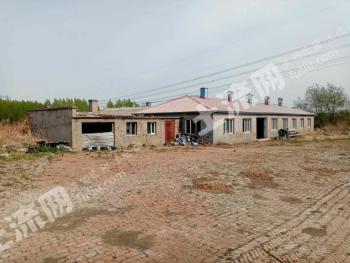 哈尔滨阿城区 7000平米 宅基地 使用权出租