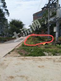 贵港平南县大新镇 75平米 宅基地 使用权出租