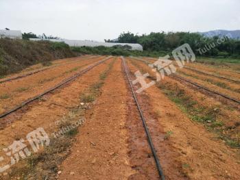 漳州南靖县 77亩 其它林地 经营权转让