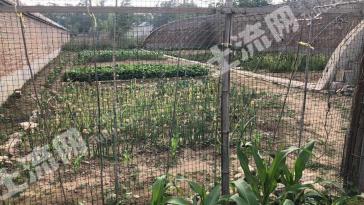北京昌平区1亩园地-菜园经营权转让
