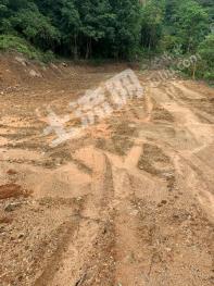 福州晋安区 400亩 其它林地 经营权转让