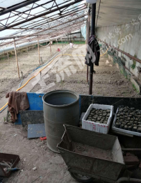 齐齐哈尔建华区 300平米 农用地 经营权出租