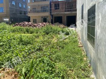 茂名化州市 260平米 宅基地 使用权出租