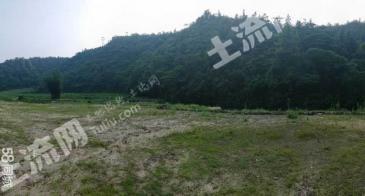 韶关  武江区 58.8亩 果园 经营权转让