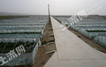 酒泉瓜州县 66亩 农用地经营权出租