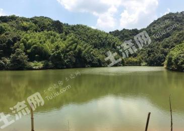 上饶德兴市 60亩 农场 经营权出租