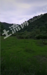 上饶婺源县 100亩 水田 经营权转让