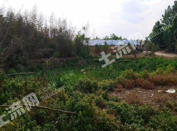 南阳卧龙区 15亩 农场 经营权出租