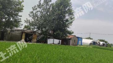 湖北襄阳市 1亩 养鸡农场 经营权转让