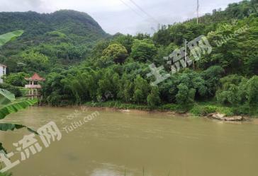 漳州南靖县 30亩 果园经营权转让