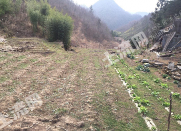 恩施建始县约100亩 其它耕地 经营权流转