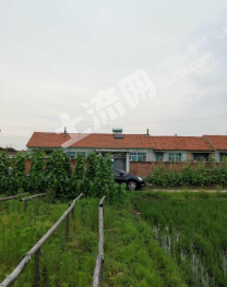 中國(guó)遼寧省丹東市2000平含宅基地整套使用權(quán)出租帶房屋5間