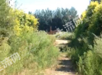 黑龙江绥化3亩空地出租