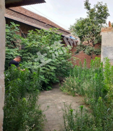 菏泽巨野县 0.5亩 城镇住宅 使用权出让