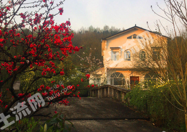 咸宁通山县 200亩 果园 经营权合作