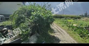 大理大理市410平米宅基地使用權(quán)出租