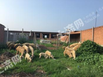 唐山乐亭县 500平米 农家庭院 出租