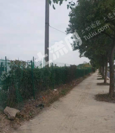 上海奉贤区 30亩 其它农用地 经营权出租