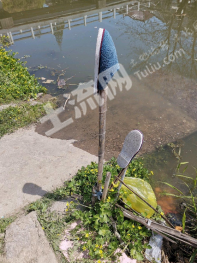 黑龙江双鸭山集贤县12000平米山庄对外出租