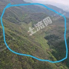 信阳新县 1000亩 灌木林地 经营权转包