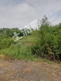 怎么才能快速找到土地 5f042415cf5c7_sml.jpg