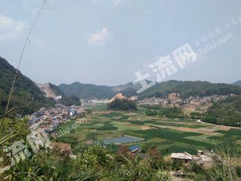 文山西畴县50亩水浇地经营权出租