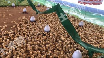韶关翁源县8亩养殖用地-畜牧养殖用地经营权转让