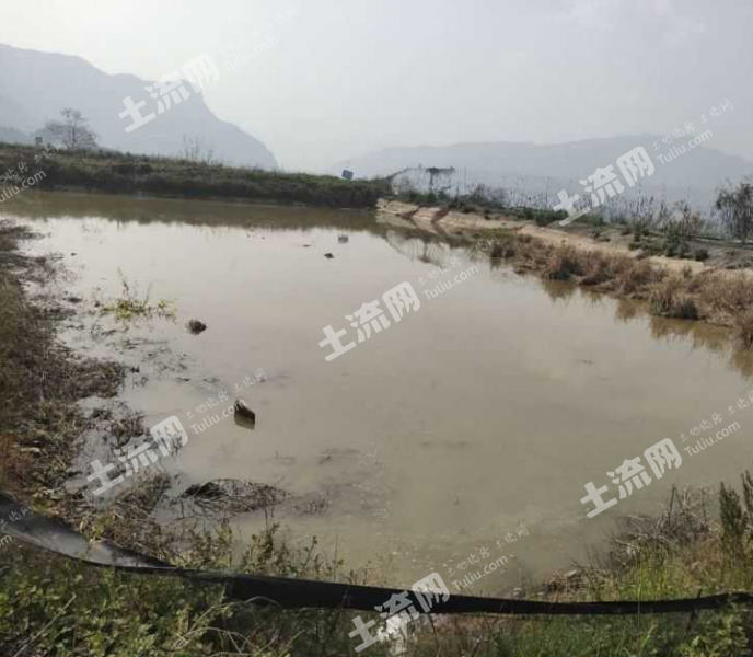 重庆武隆区 15亩 坑塘水面 经营权出租