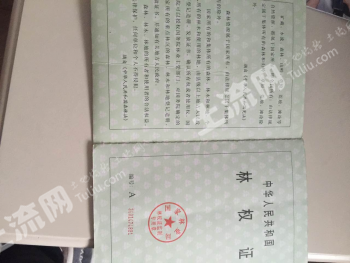 六安金寨县 800亩 灌木林地 经营权转包