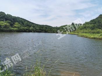 郴州苏仙区 200亩 综合养殖用地 经营权出租