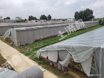 山东济宁曲阜市 100亩 果园 出租