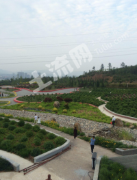 晋城泽州县 0.9亩 菜园 经营权出租