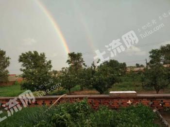 锦州黑山县 10亩 畜牧养殖用地 经营权转让