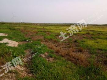 松原扶余市230亩水田出租