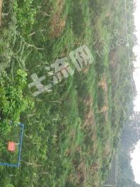 眉山青神县 68亩 果园 经营权转让