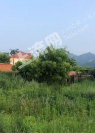 鞍山千山區(qū) 2000平米 宅基地 使用權(quán)出租