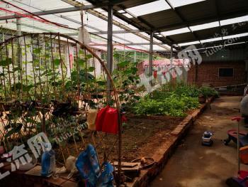 张家口下花园区 800平米 宅基地 使用权出租