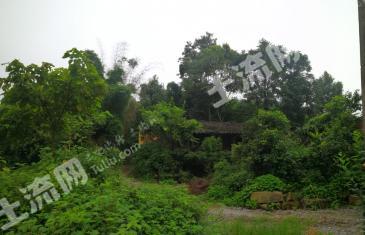 重庆巴南区 206平米 宅基地 使用权合作