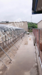 兰州城关区1亩花房出租