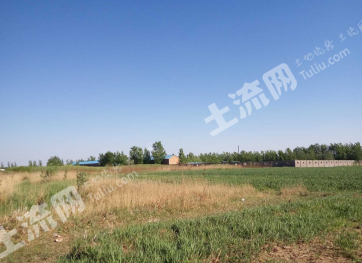 聊城阳谷县 60亩 空闲地 使用权出租