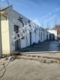 石嘴山惠农区 60亩 水浇地 经营权转包