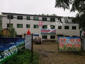 鹤岗东山区 5000平米 商业用地 使用权转让