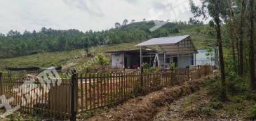 韶关乳源瑶族自治县 200亩 人工牧草地 经营权转让