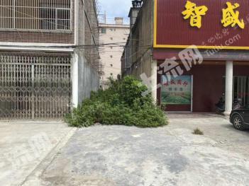 揭阳普宁市 100平米 宅基地 使用权出租