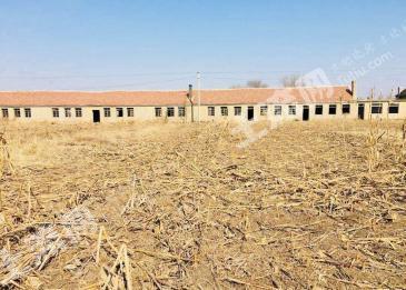 沈陽新民市 7200平米 農村宅基地 使用權出租