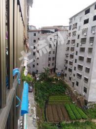 宁德蕉城区 90平方米 农村宅基地 使用权合作