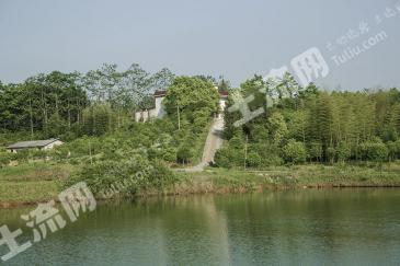 咸宁崇阳县 310亩 其它园地 经营权转让
