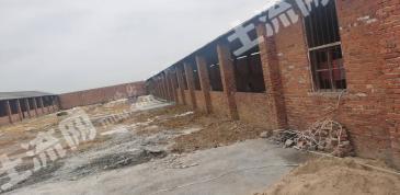 孝感汉川市 133亩 农场 使用权出租