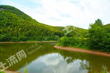 芜湖繁昌县88亩有林地经营权转让