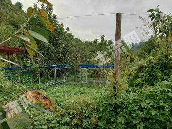 宝鸡凤县 15亩 综合养殖用地 经营权出租